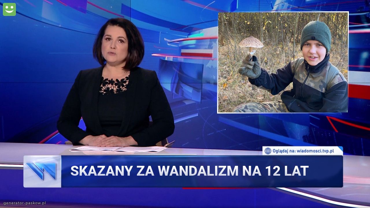 Skazany za wandalizm na 12 lat