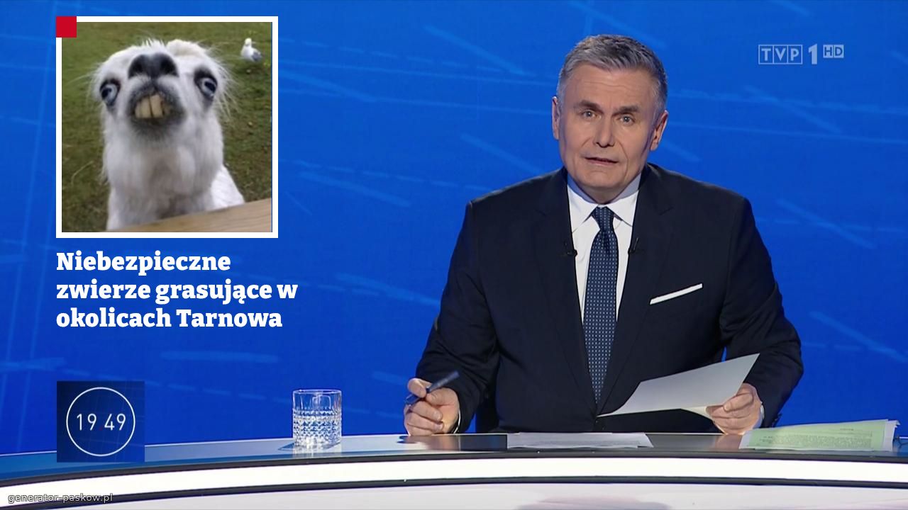 Niebezpieczne zwierze grasujące w okolicach Tarnowa