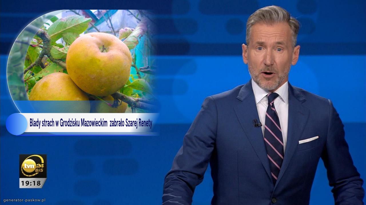 Blady strach w Grodzisku Mazowieckim  zabrało Szarej Renety