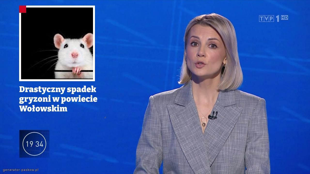 Drastyczny spadek gryzoni w powiecie Wołowskim 
