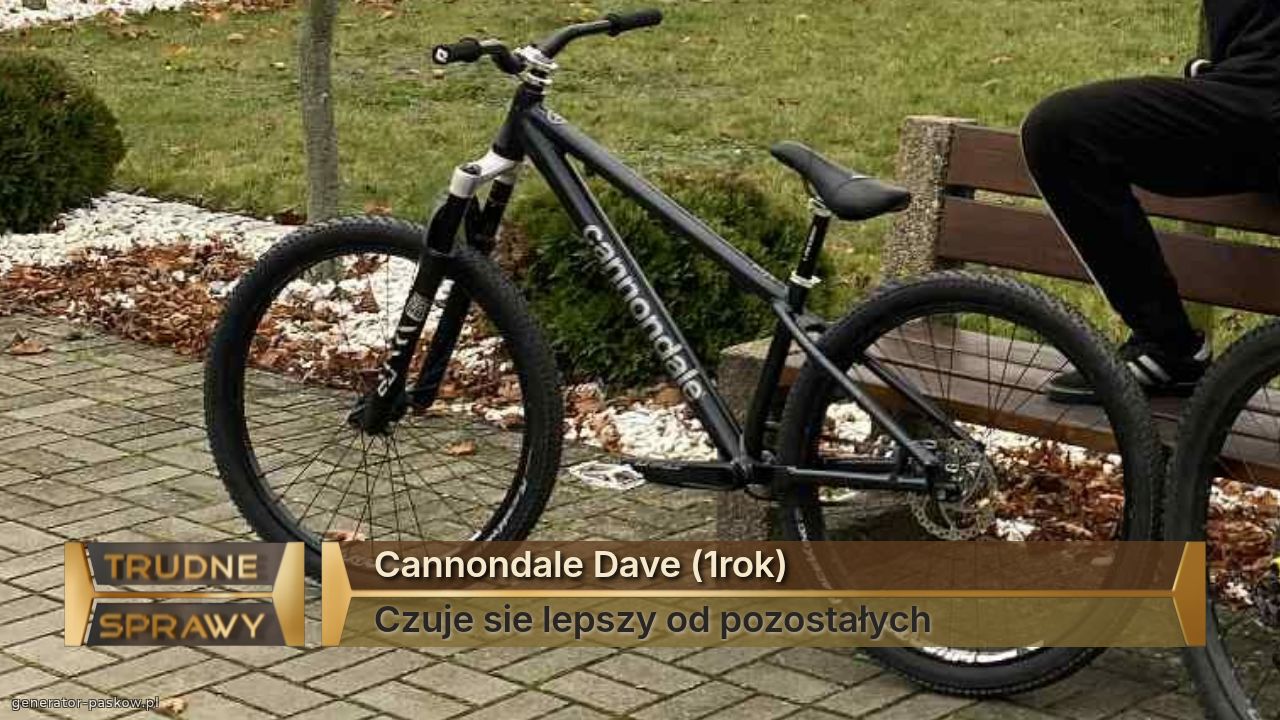 Cannondale Dave (1rok)
Czuje sie lepszy od pozostałych