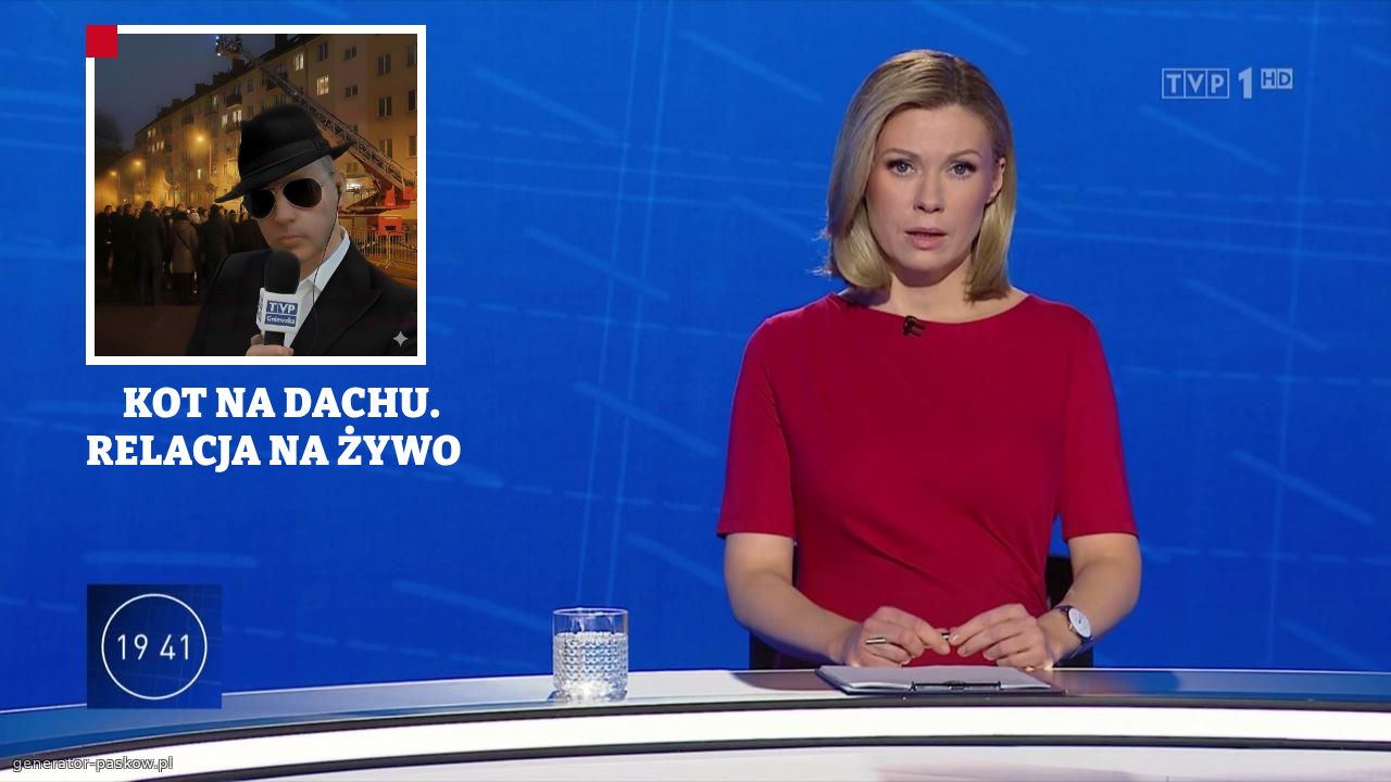      KOT NA DACHU. RELACJA NA ŻYWO