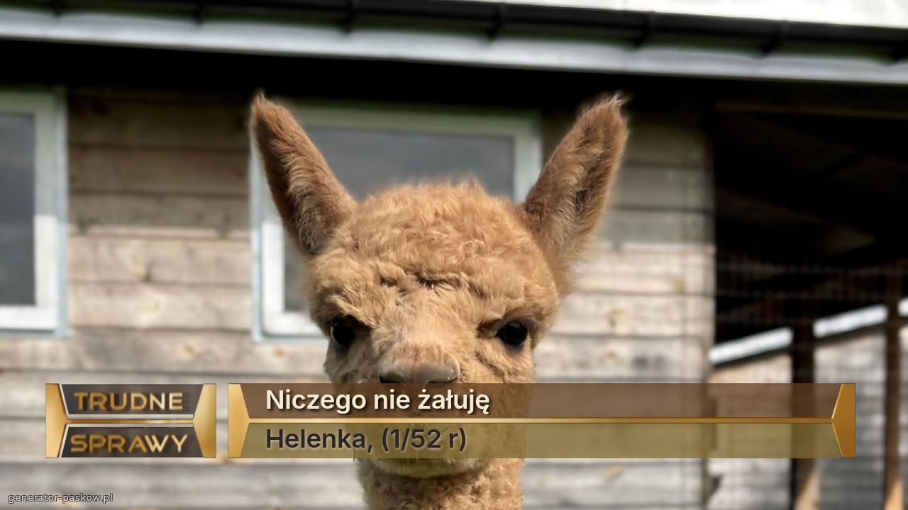 Niczego nie żałuję
Helenka, (1/52 r)