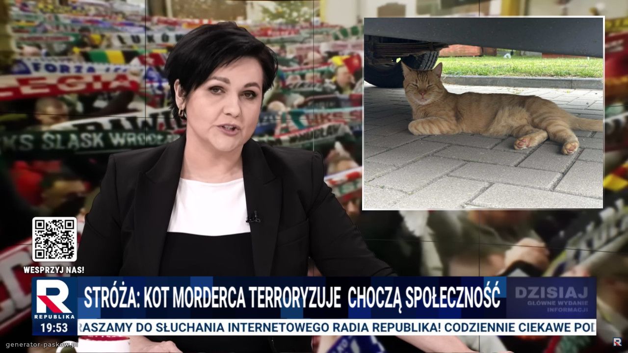 Stróża: Kot morderca terroryzuje  choczą społeczność