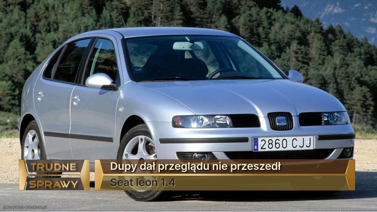 Dupy dał przeglądu nie przeszedł
Seat leon 1.4