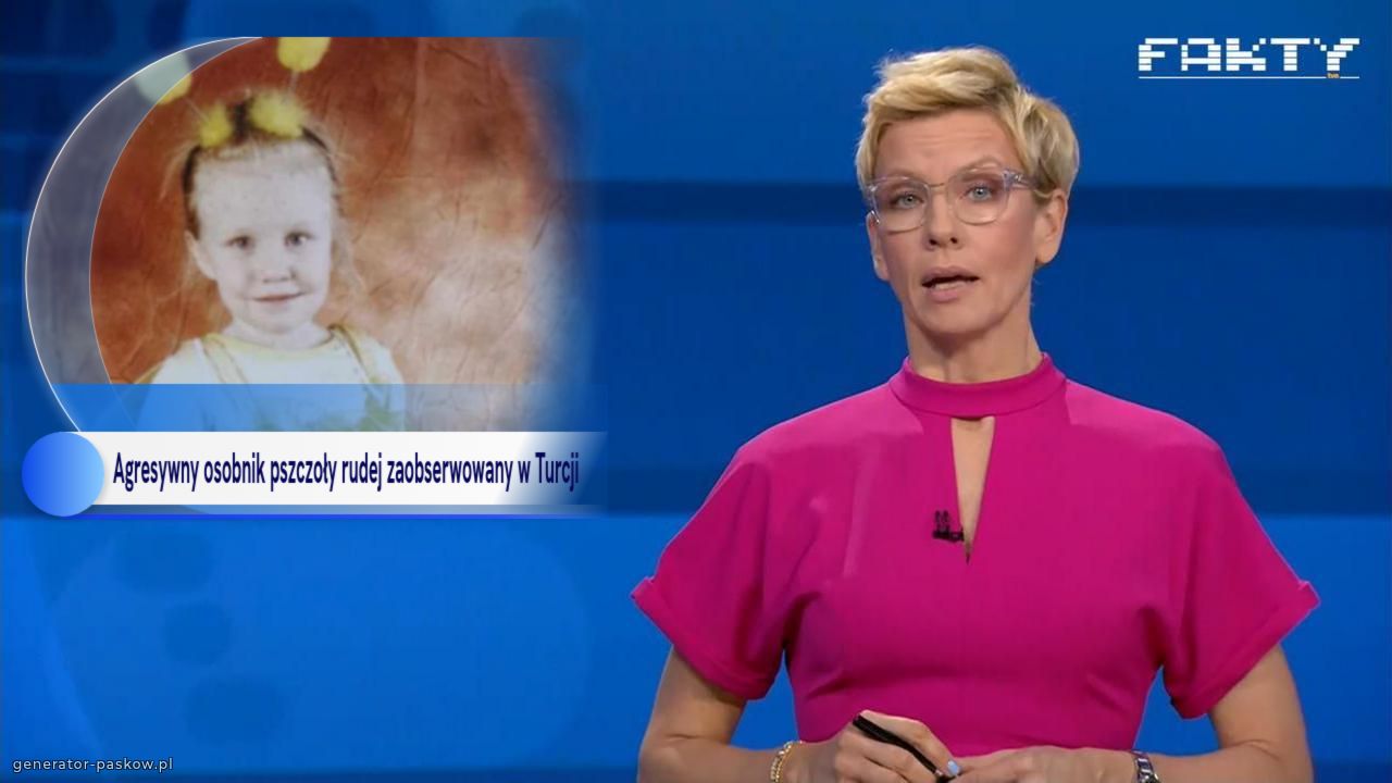Agresywny osobnik pszczoły rudej zaobserwowany w Turcji