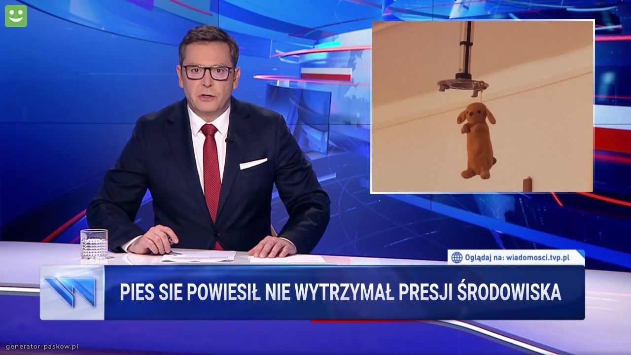 Pies sie powiesił nie wytrzymał presji środowiska