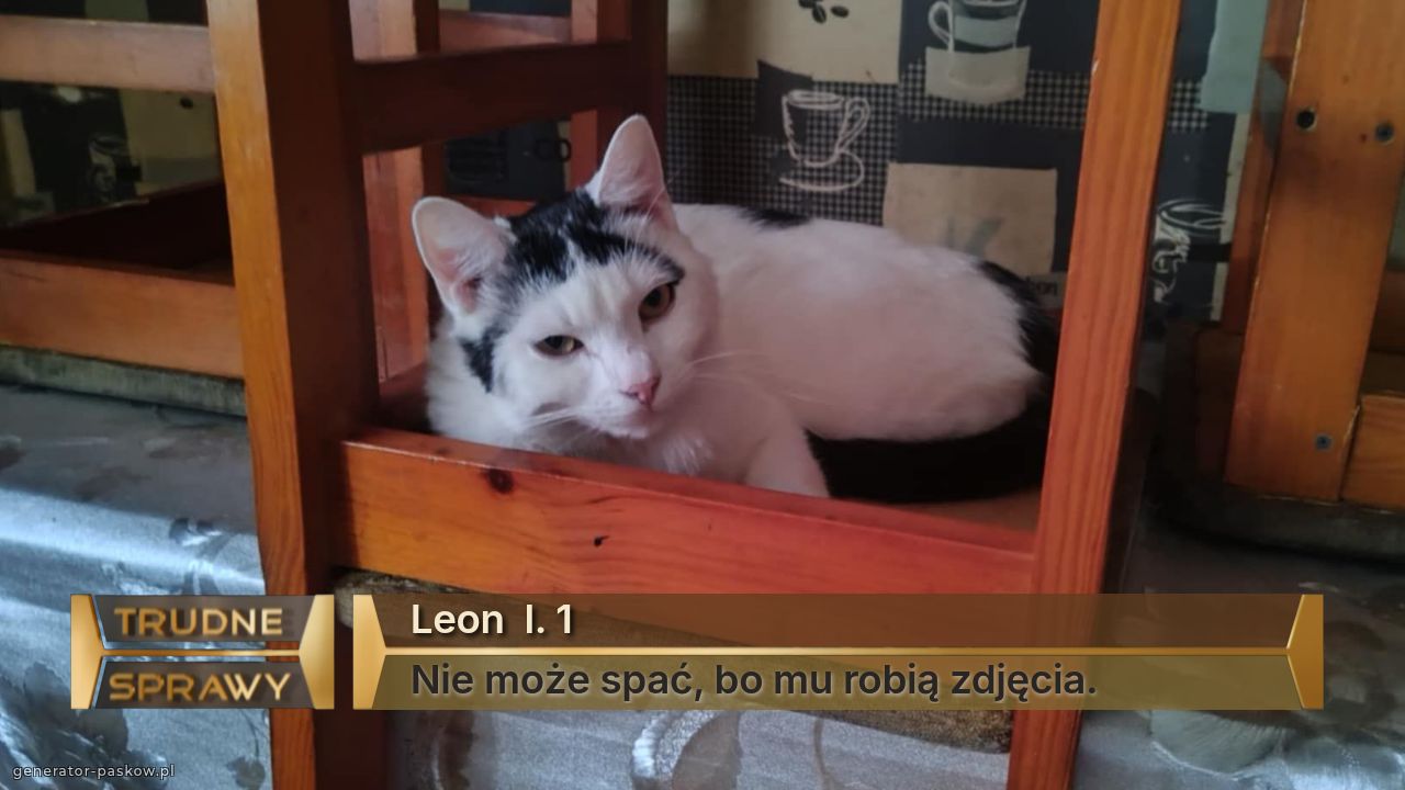 Leon  l. 1
Nie może spać, bo mu robią zdjęcia.