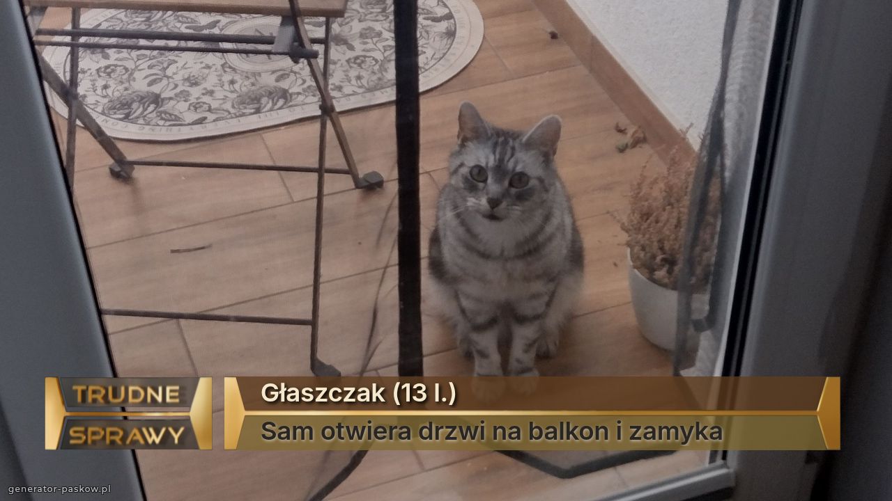 Głaszczak (13 l.)
Sam otwiera drzwi na balkon i zamyka
