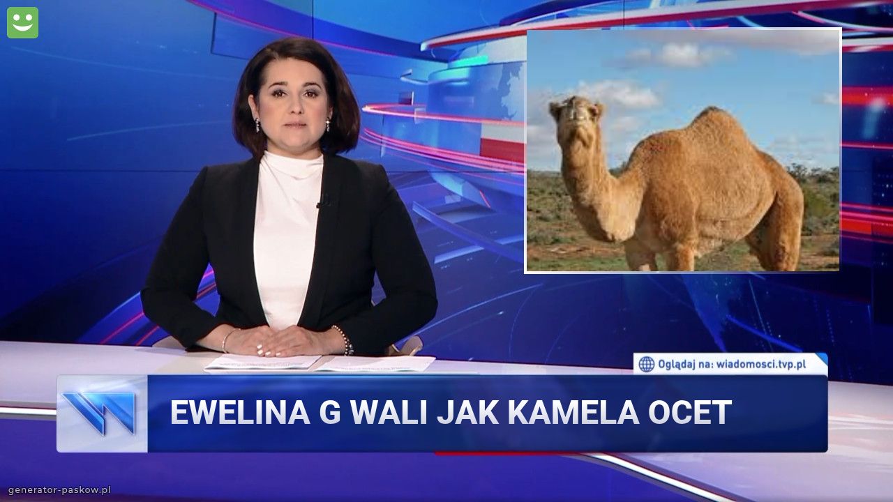 Ewelina g wali jak kamela ocet