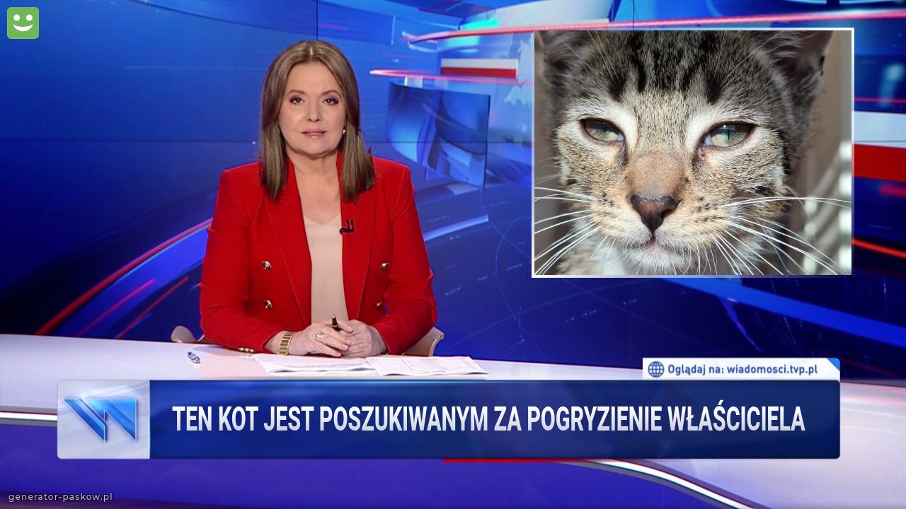 Ten kot jest poszukiwanym za pogryzienie właściciela 
