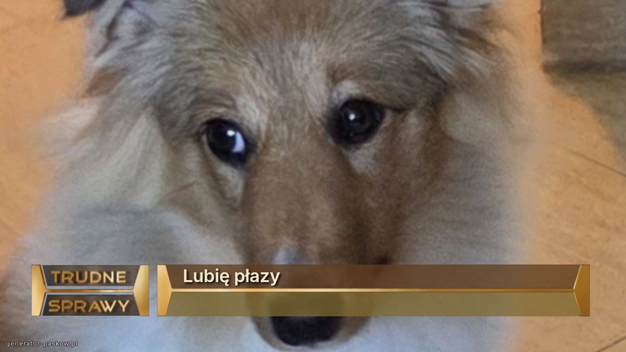 Lubię płazy
