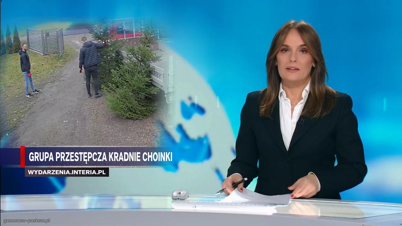 Grupa przestępcza kradnie choinki