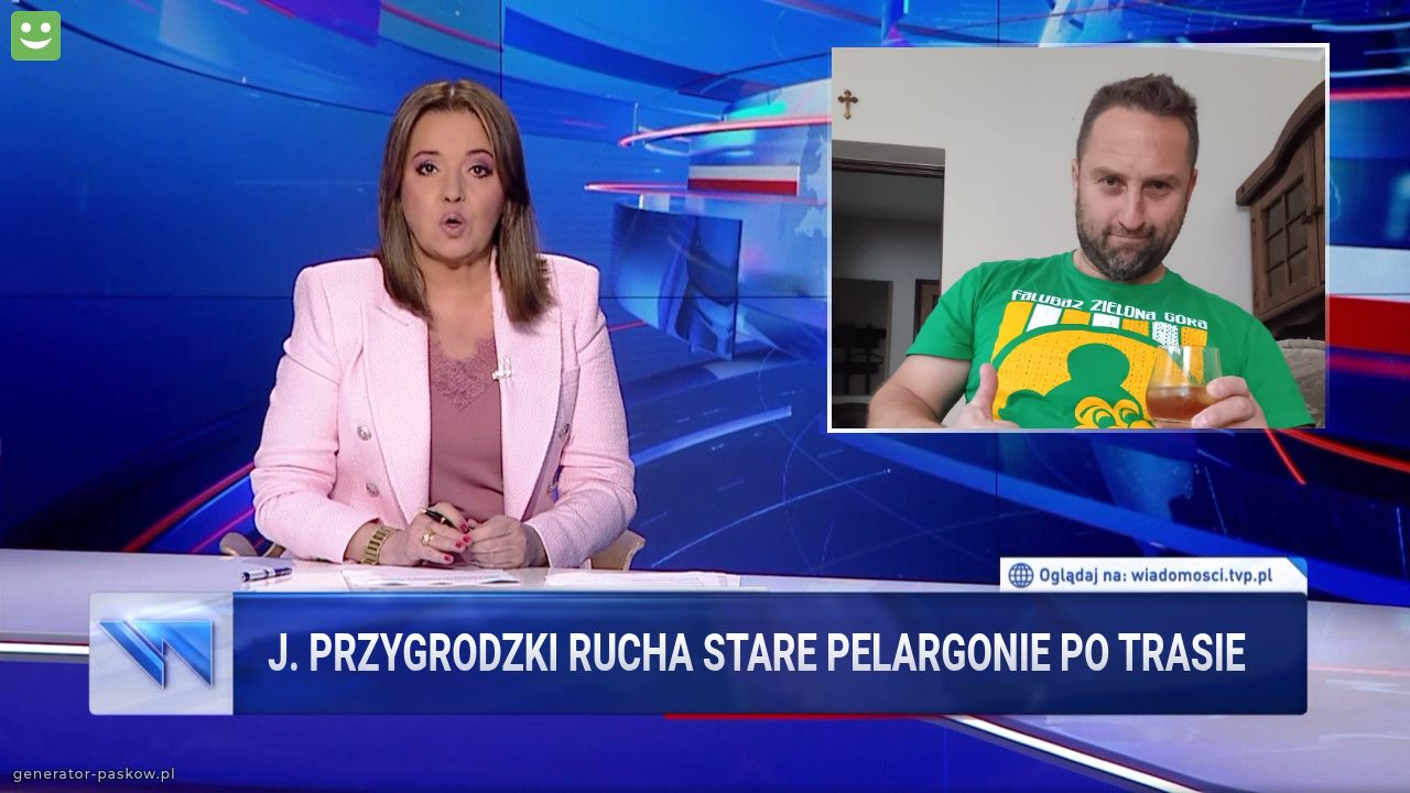 J. Przygrodzki rucha stare pelargonie po trasie 