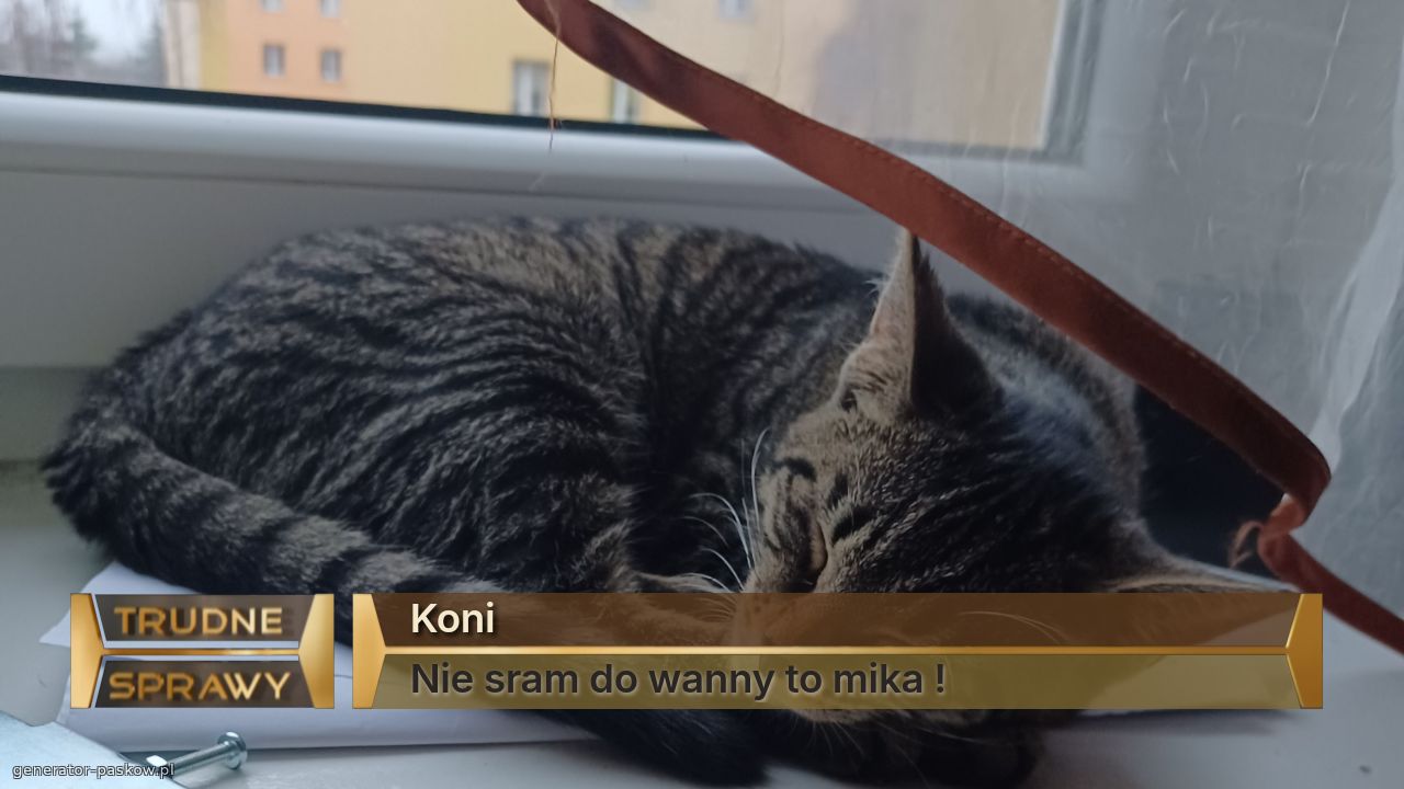 Koni 
Nie sram do wanny to mika !