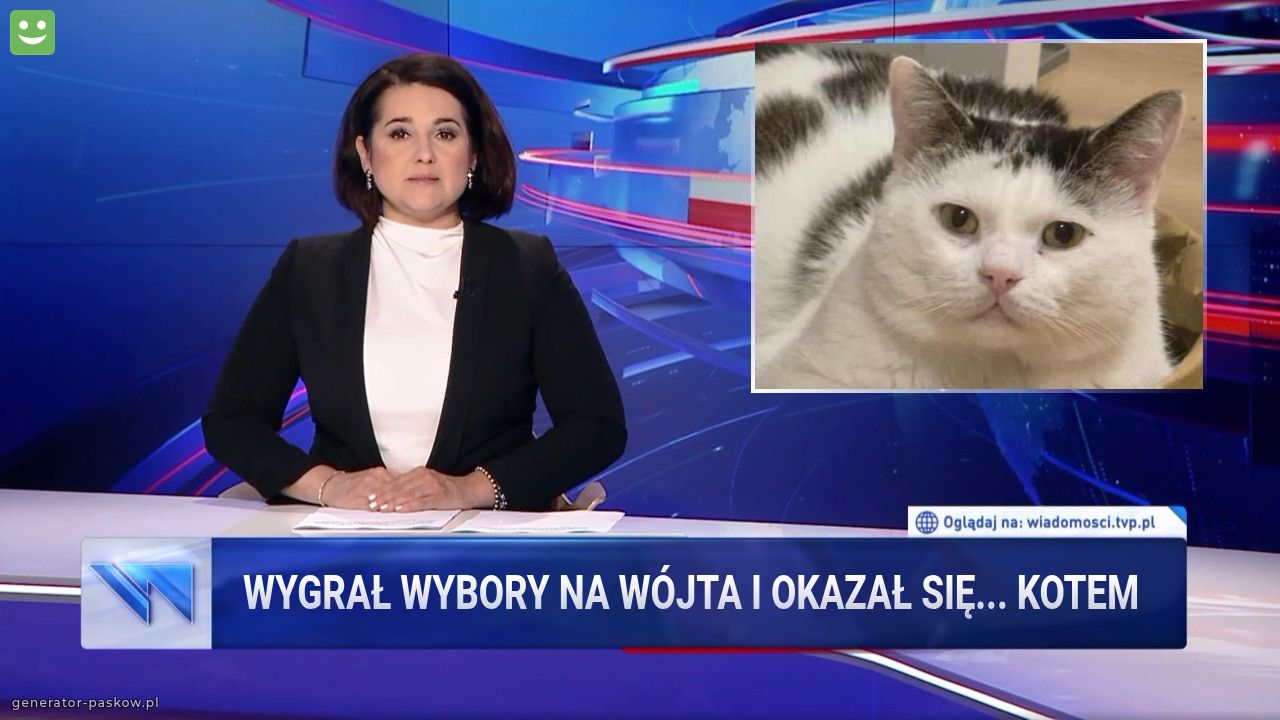 WYGRAŁ WYBORY NA WÓJTA i okazał się... KOTEM