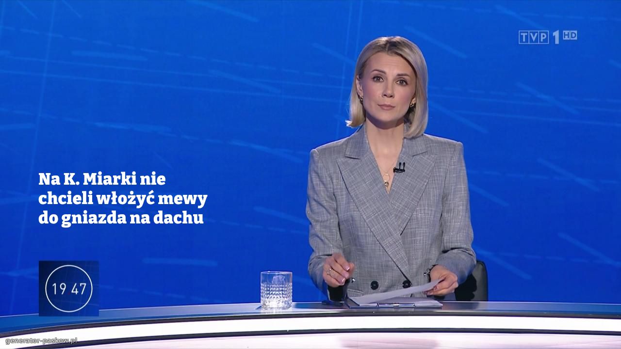 Na K. Miarki nie chcieli włożyć mewy do gniazda na dachu 