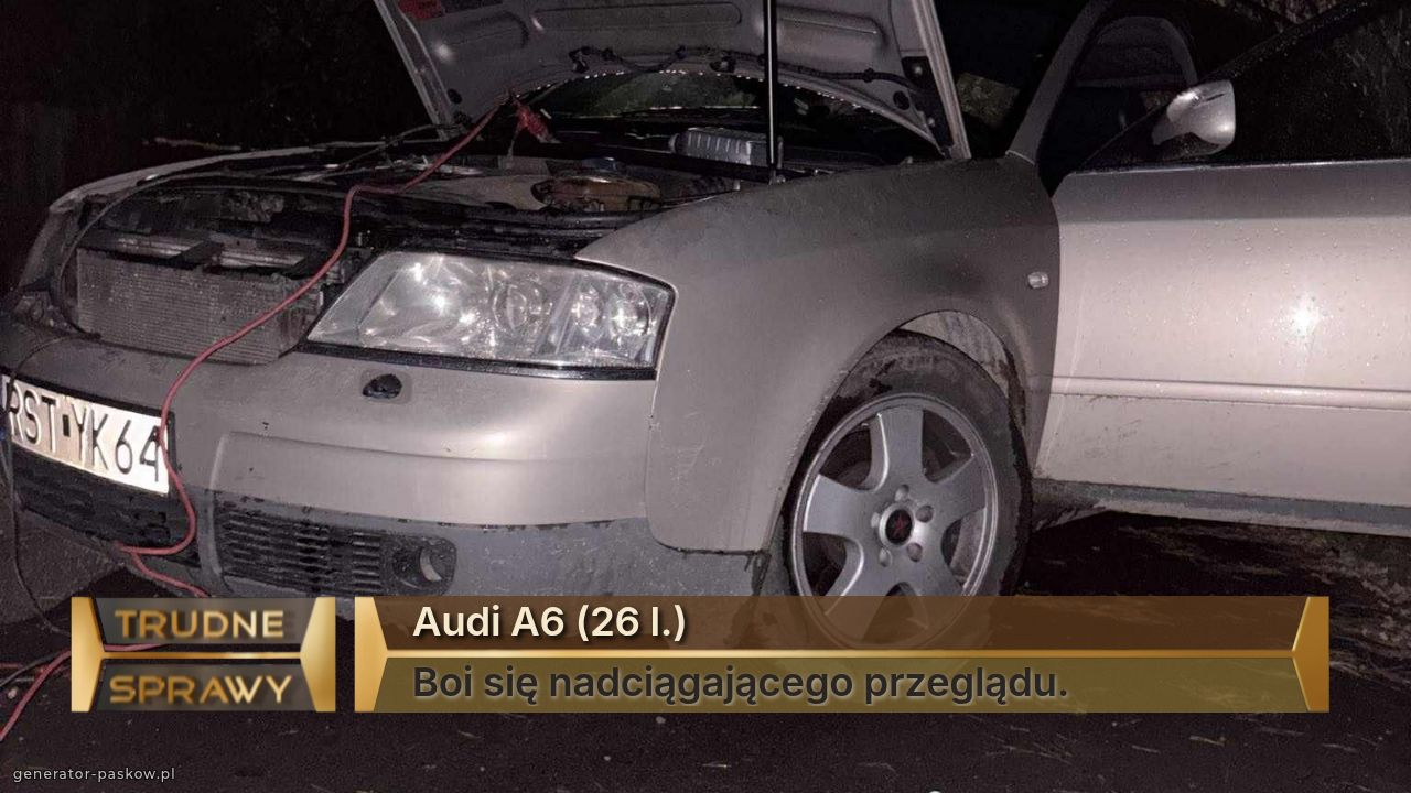 Audi A6 (26 l.)
Boi się nadciągającego przeglądu.