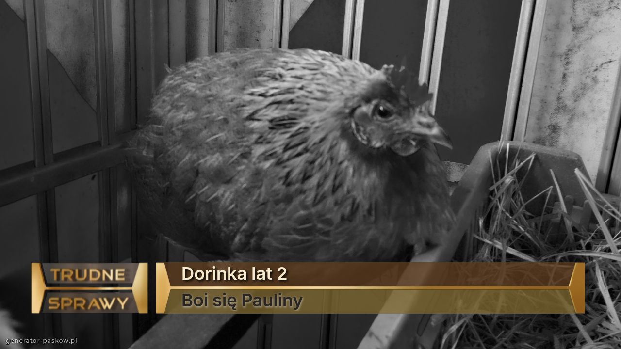 Dorinka lat 2
Boi się Pauliny