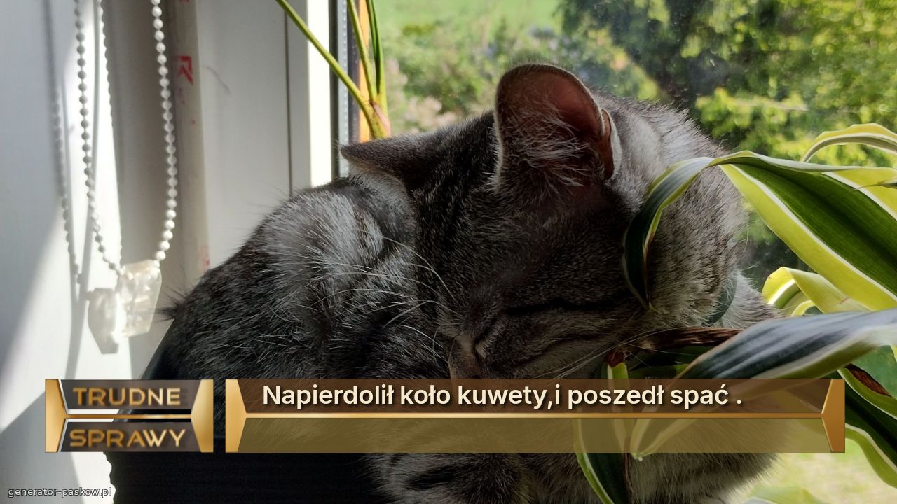 Napierdolił koło kuwety,i poszedł spać .