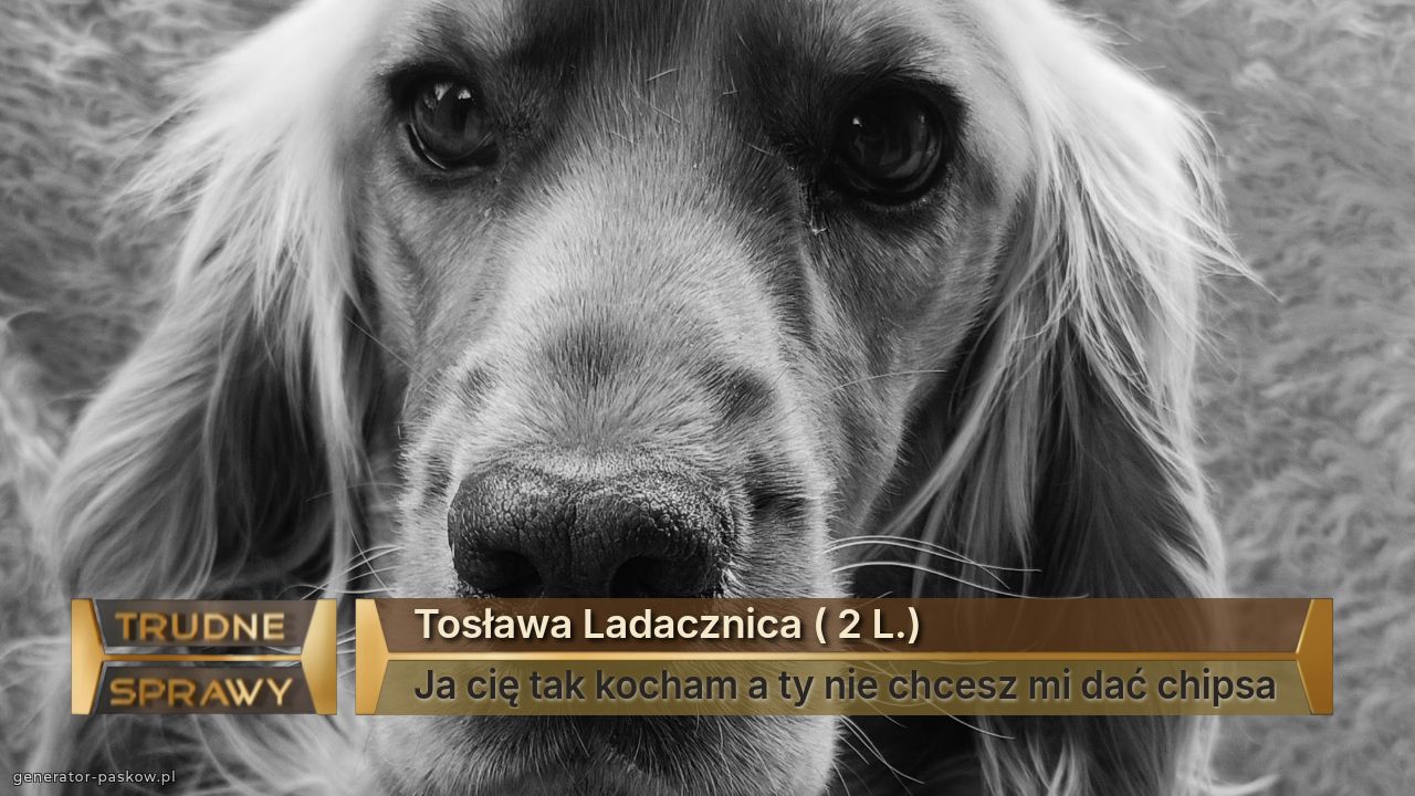 Tosława Ladacznica ( 2 L.)
Ja cię tak kocham a ty nie chcesz mi dać chipsa