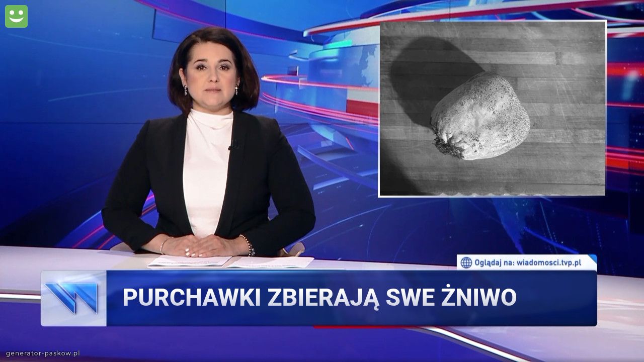 Purchawki zbierają swe żniwo 