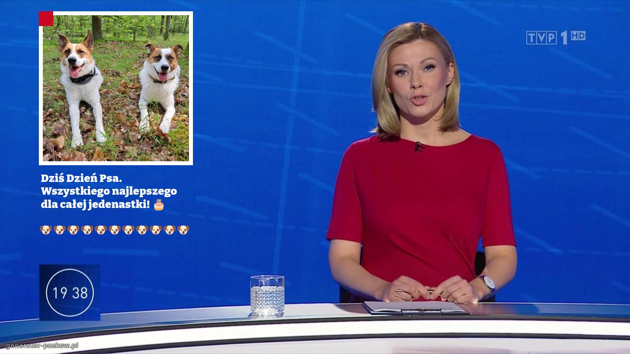 Dziś Dzień Psa.
 Wszystkiego najlepszego
 dla całej jedenastki! 🎂

🐶🐶🐶🐶🐶🐶🐶🐶🐶🐶🐶