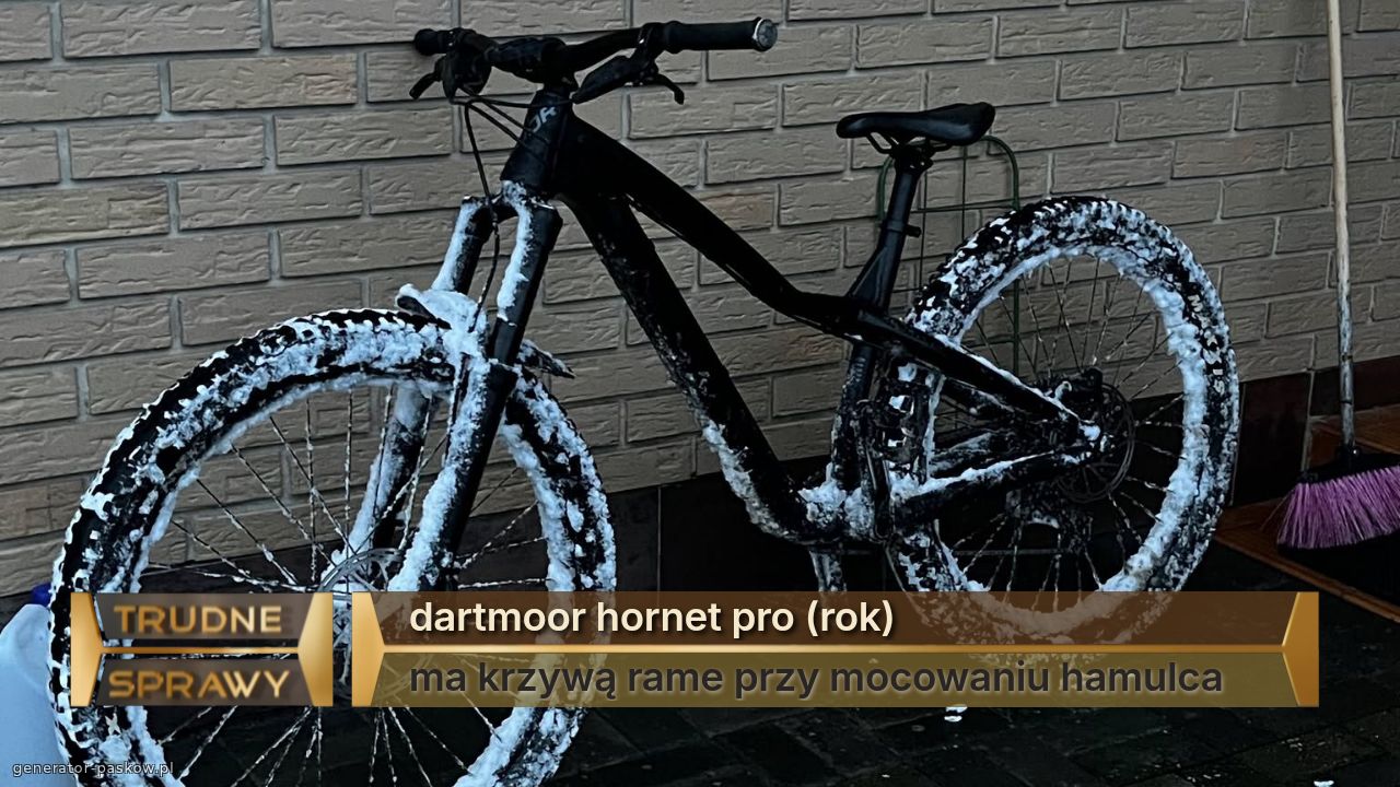 dartmoor hornet pro (rok)
ma krzywą rame przy mocowaniu hamulca