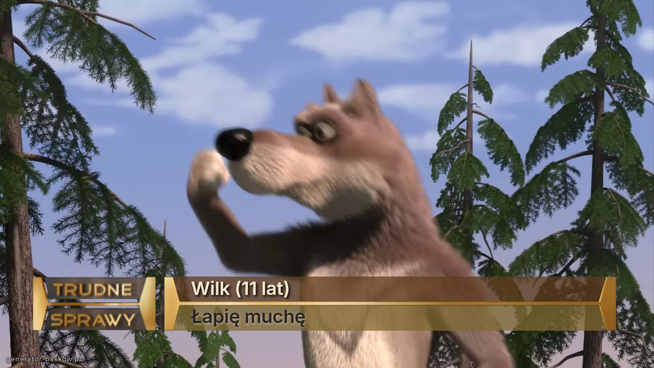 Wilk (11 lat)
Łapię muchę 