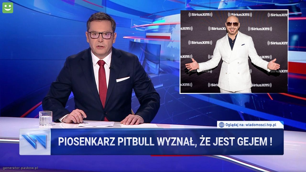 Piosenkarz pitbull wyznał, że jest gejem !