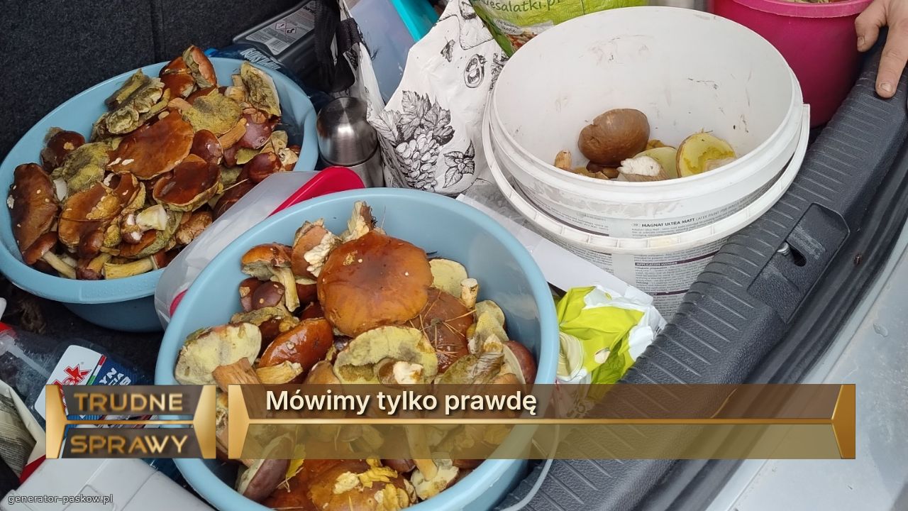 Mówimy tylko prawdę
