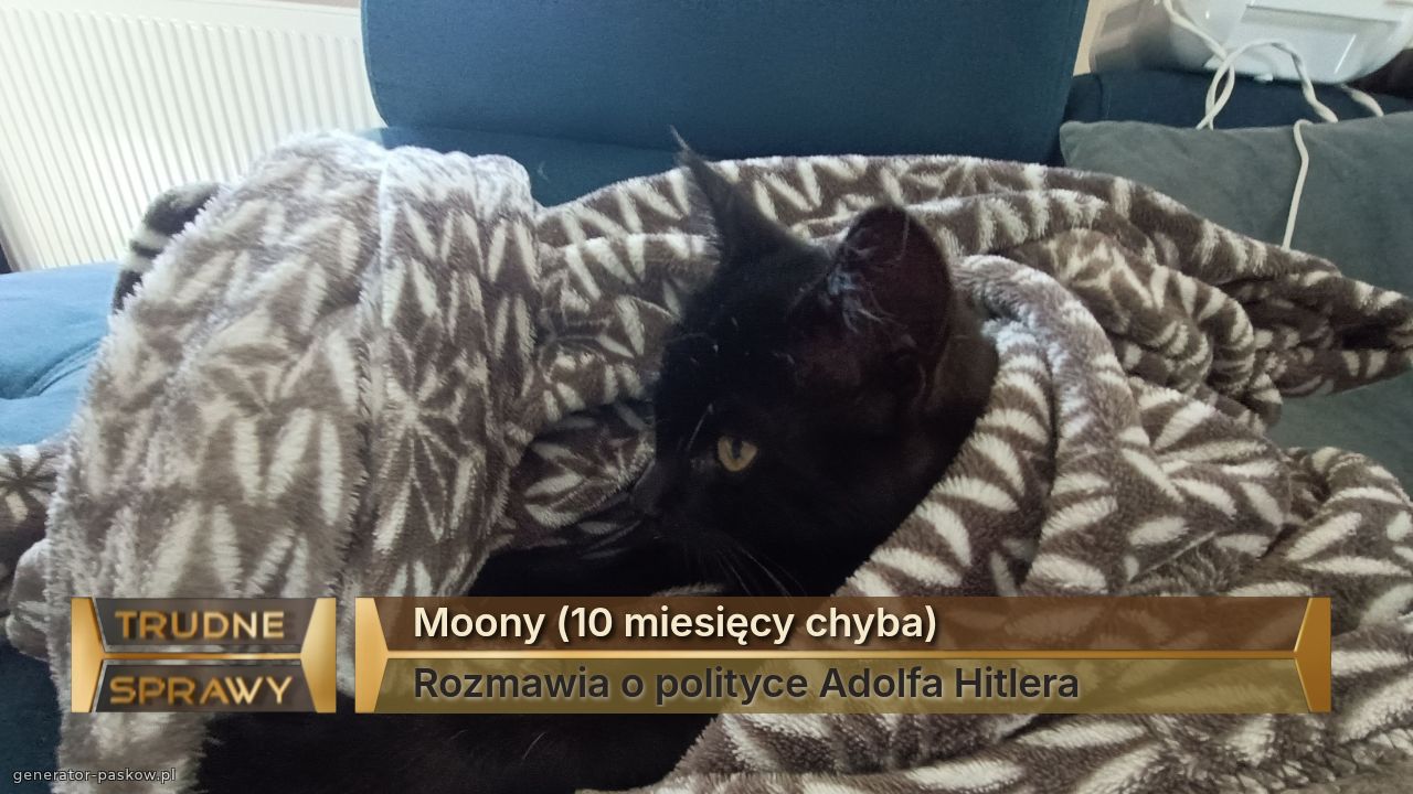 Moony (10 miesięcy chyba)
Rozmawia o polityce Adolfa Hitlera
