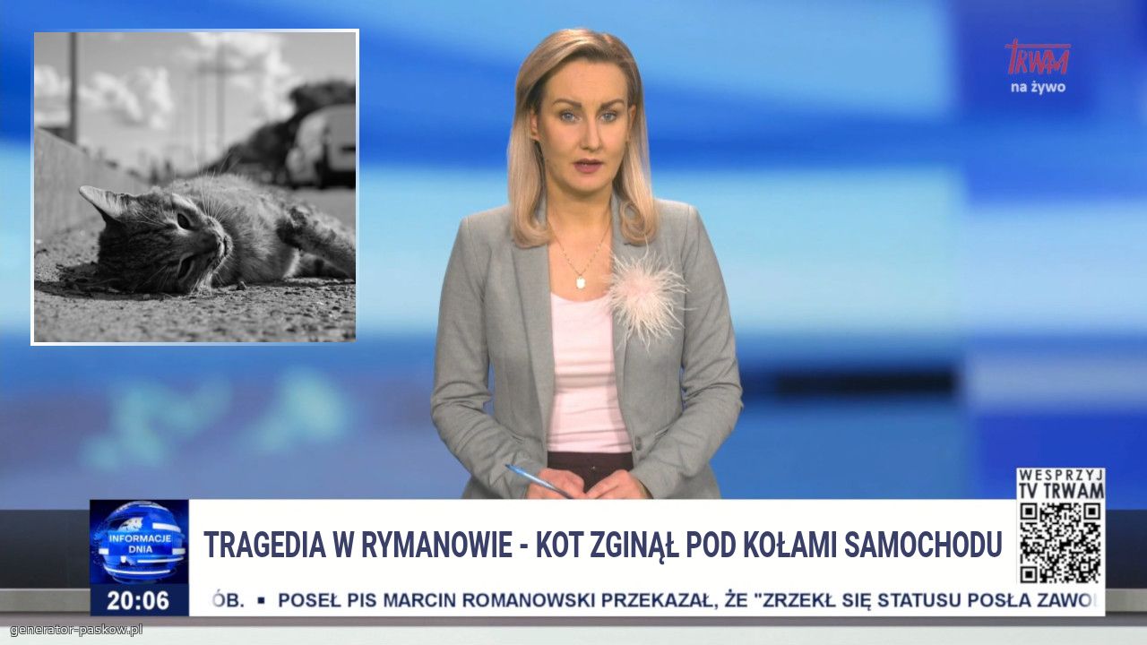 Tragedia w rymanowie - kot zginął pod kołami samochodu