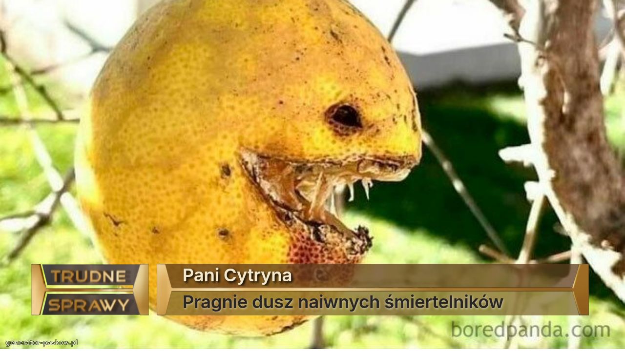 Pani Cytryna
Pragnie dusz naiwnych śmiertelników