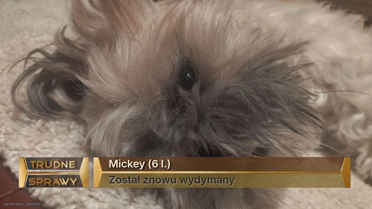 Mickey (6 l.)
Został znowu wydymany