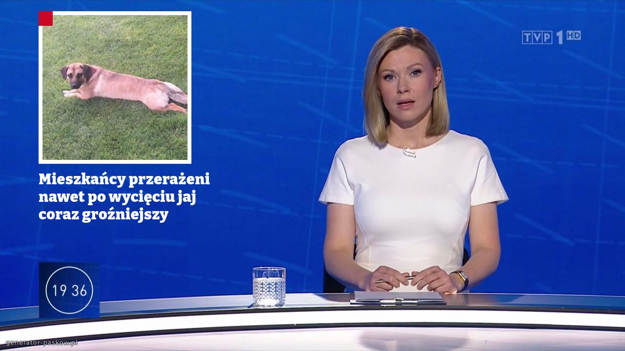 Mieszkańcy przerażeni nawet po wycięciu jaj coraz groźniejszy