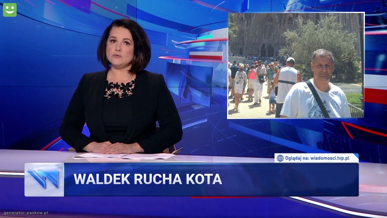 Waldek rucha kota 