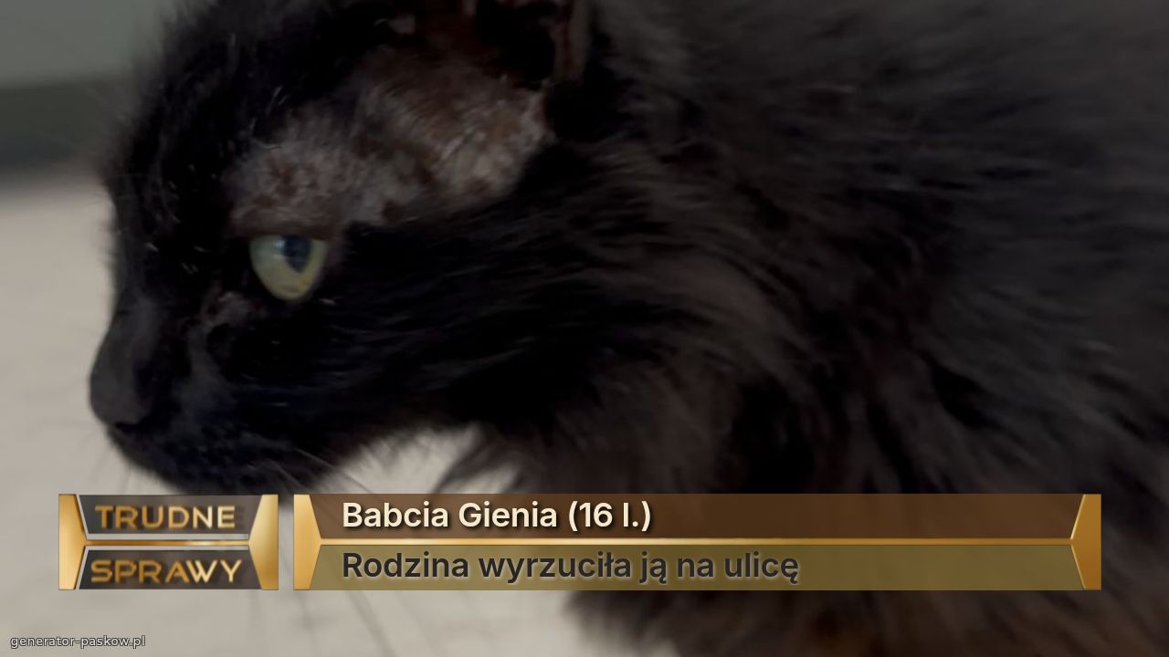 Babcia Gienia (16 l.)
Rodzina wyrzuciła ją na ulicę 