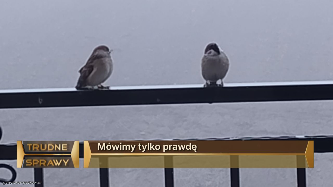 Mówimy tylko prawdę
