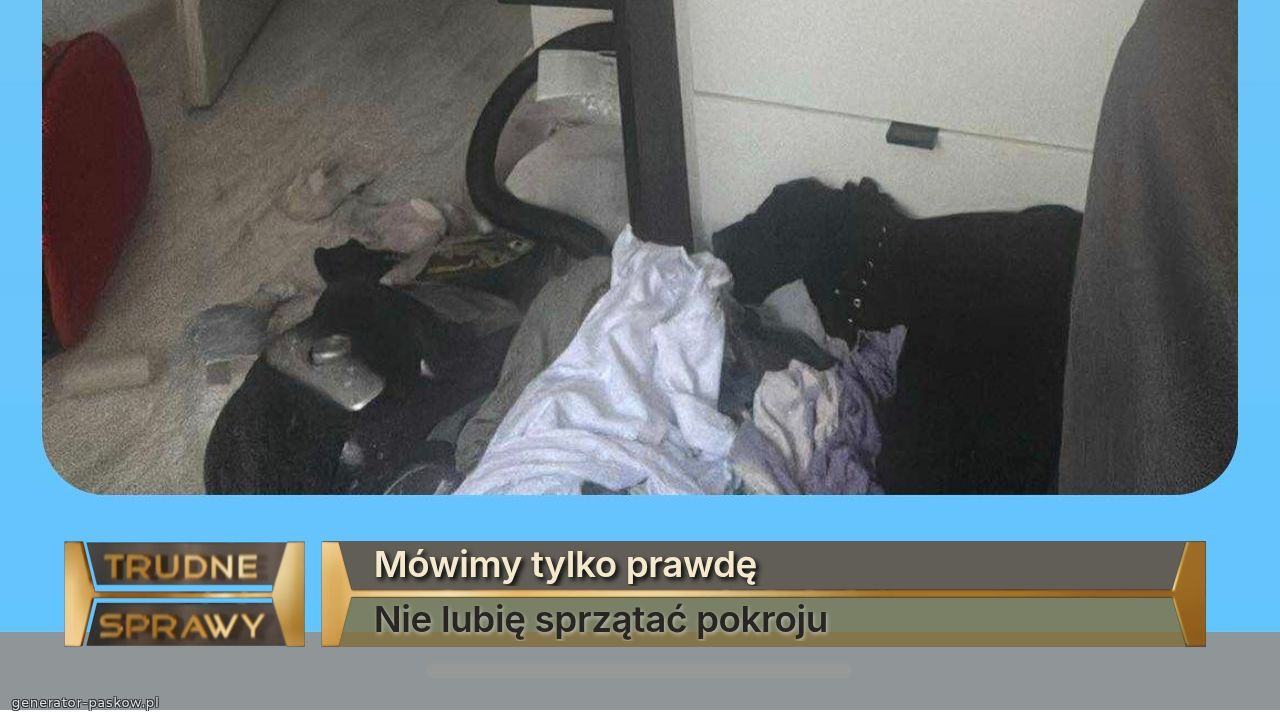 Mówimy tylko prawdę
Nie lubię sprzątać pokroju 