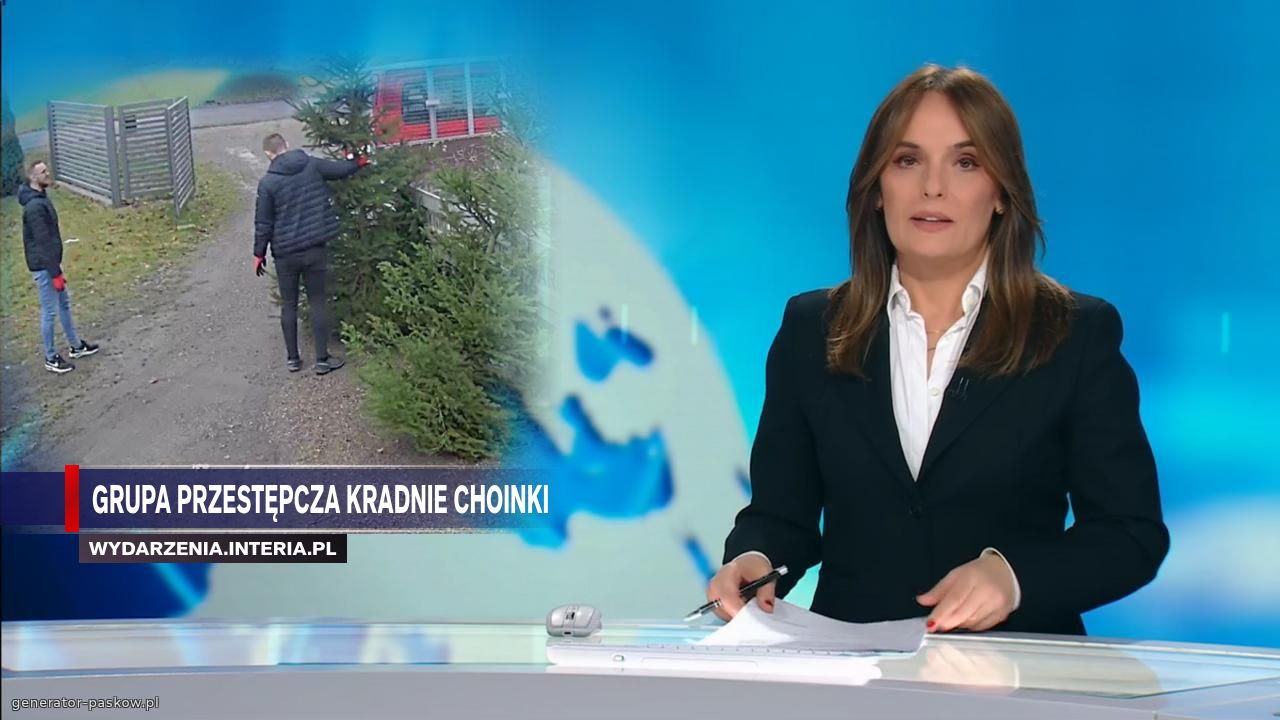 Grupa przestępcza kradnie choinki