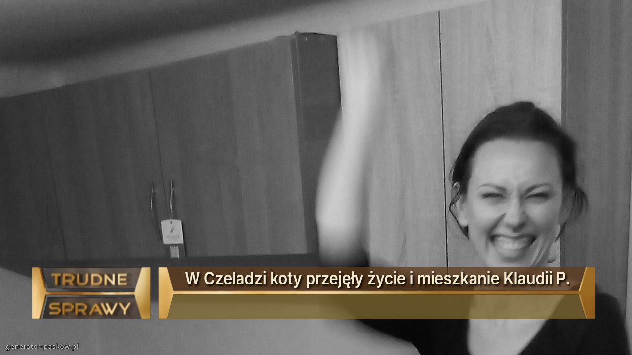 W Czeladzi koty przejęły życie i mieszkanie Klaudii P.
