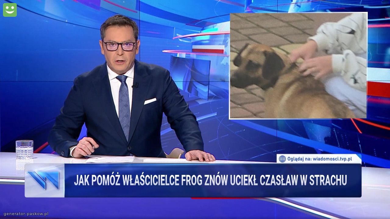 Jak pomóż właścicielce Frog znów uciekł Czasław w strachu
