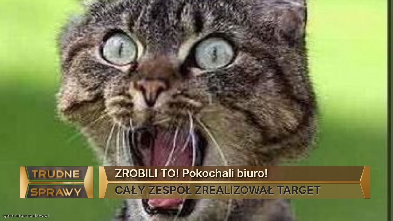 ZROBILI TO! Pokochali biuro!
CAŁY ZESPÓŁ ZREALIZOWAŁ TARGET