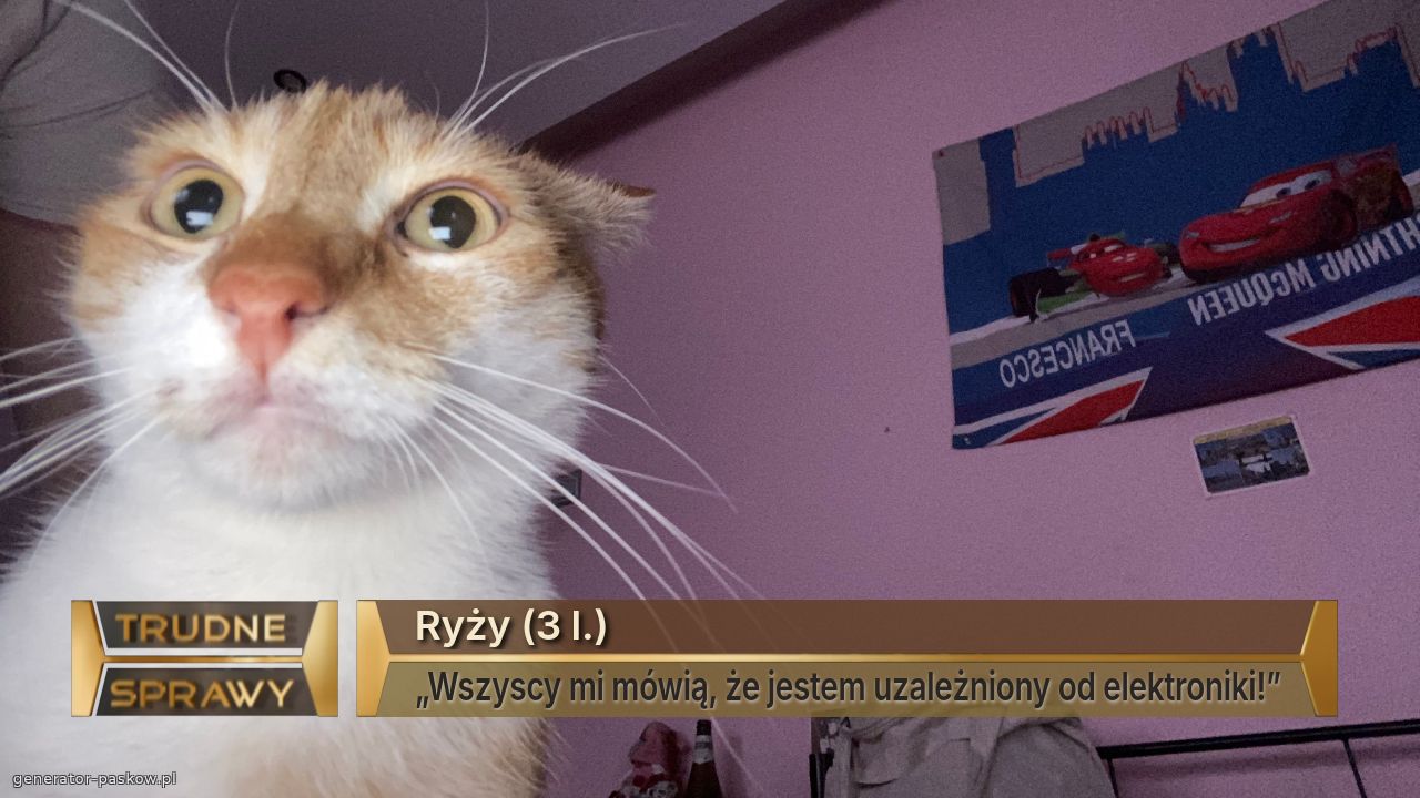 Ryży (3 l.)
„Wszyscy mi mówią, że jestem uzależniony od elektroniki!”