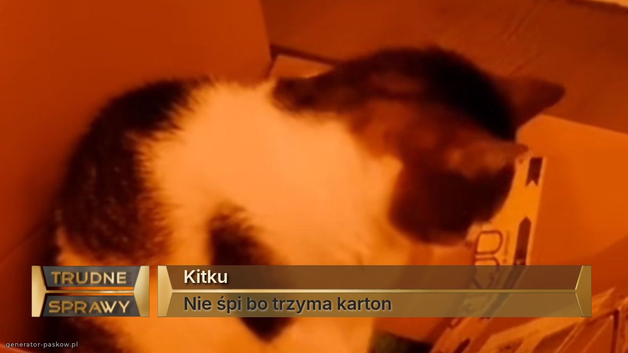Kitku 
Nie śpi bo trzyma karton 