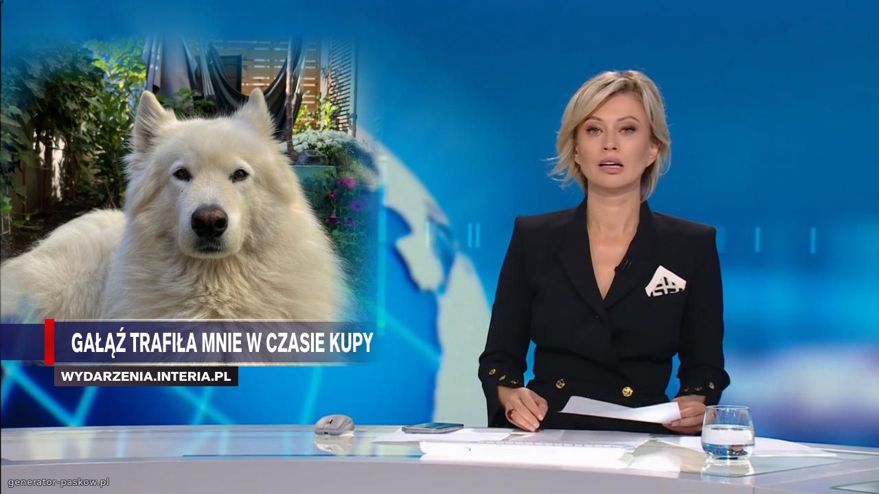   Gałąź trafiła mnie w czasie kupy 