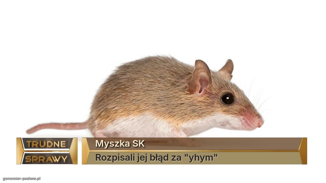 Myszka SK
Rozpisali jej błąd za "yhym"