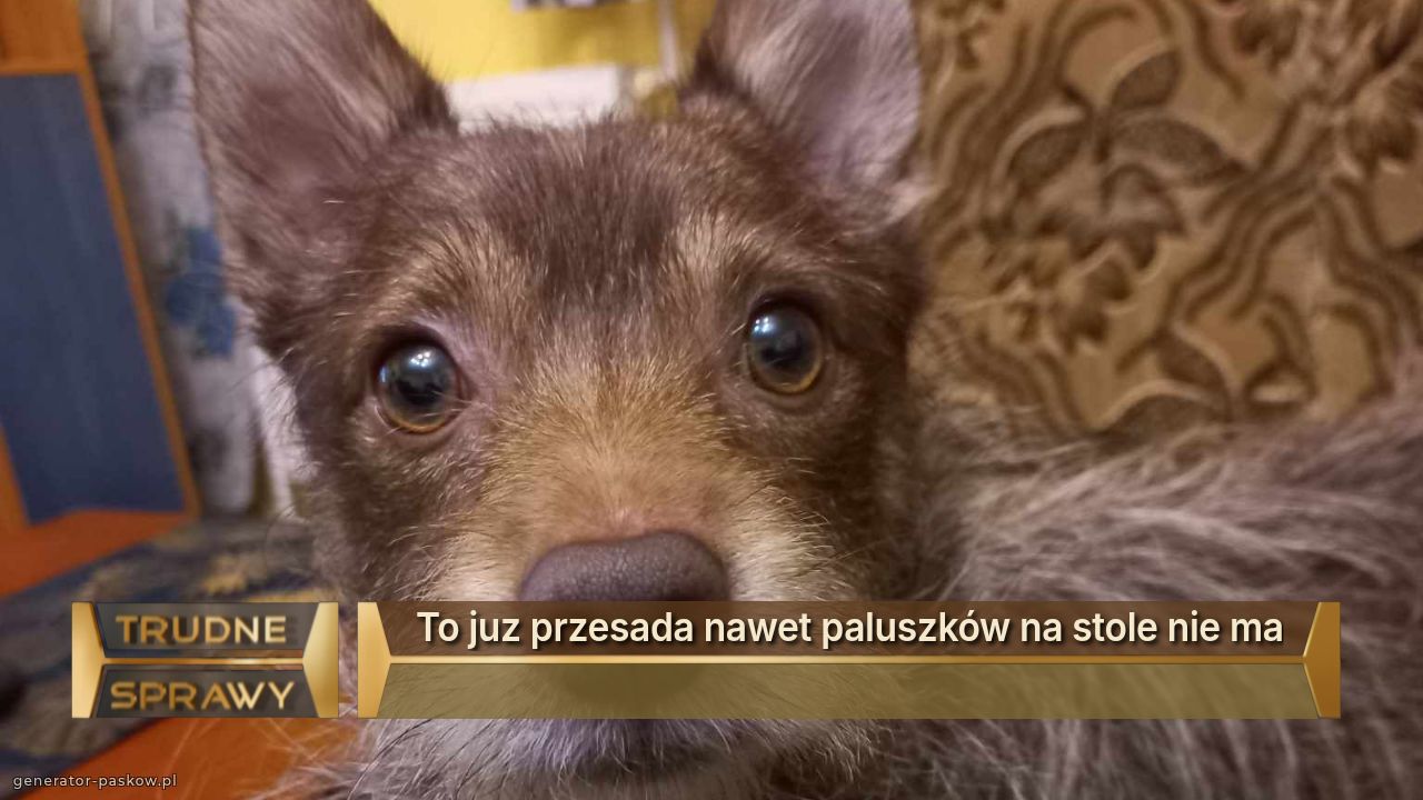 To juz przesada nawet paluszków na stole nie ma
