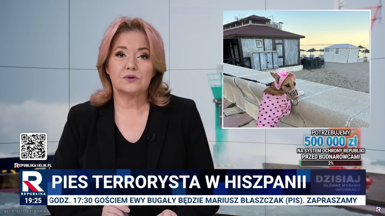 Pies terrorysta w hiszpanii